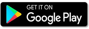 Play Store Icon